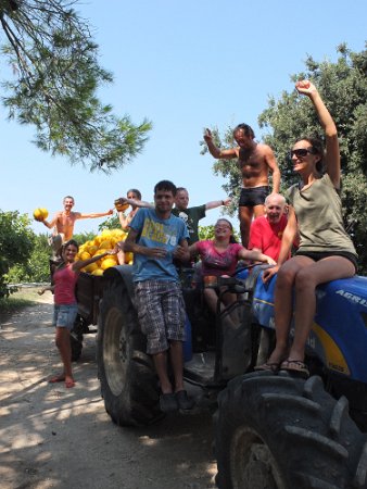 2012_malapezza_zari_60