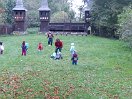 IMG_20150926_161016.jpg