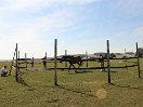 IMG_5317.jpg