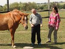 IMG_5341.jpg