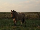 IMG_5701.jpg